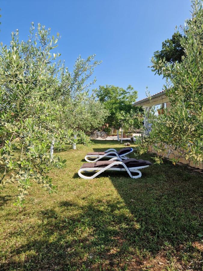 Villa House Maslina Rovinj Exterior foto
