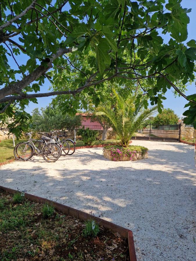 Villa House Maslina Rovinj Exterior foto